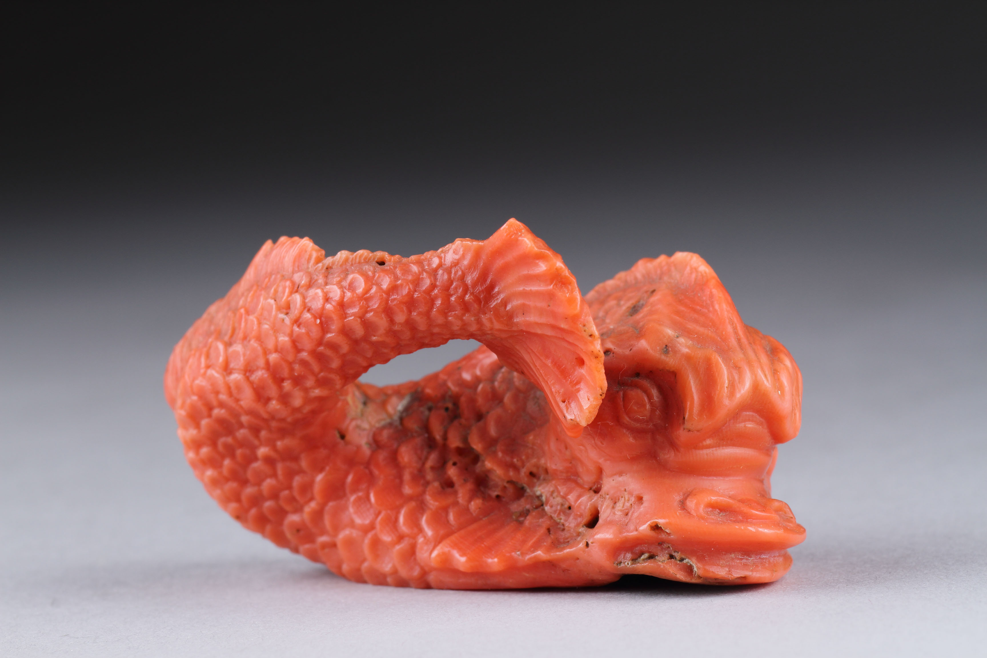 Rare Large Sicilian Trepani Carved Red Coral Figure of a Dolphin